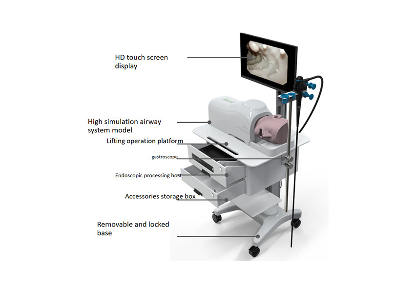 Integrated Simulator for Gastroscopic Surgery Training 