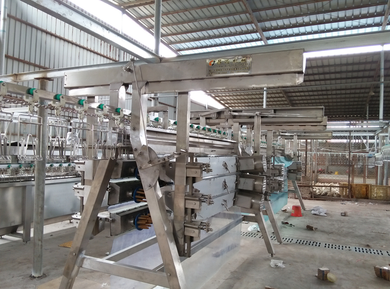 How to maintain Poultry Slaughterhouse machine during production