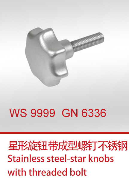 WS 9999  GN 6336