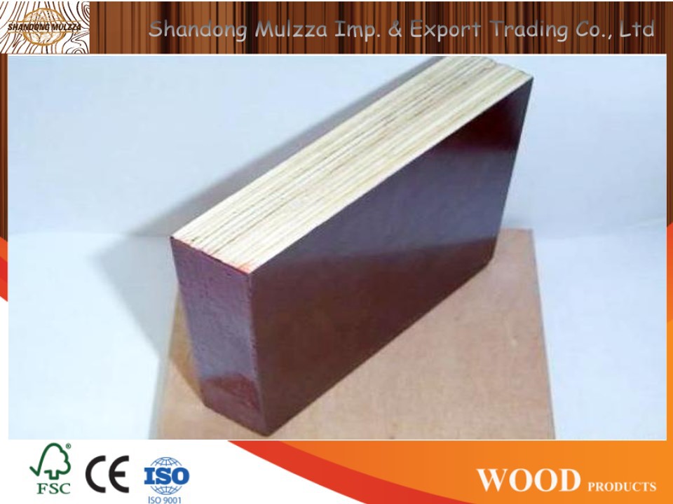 What are the characteristics of customized Film Faced Plywood material