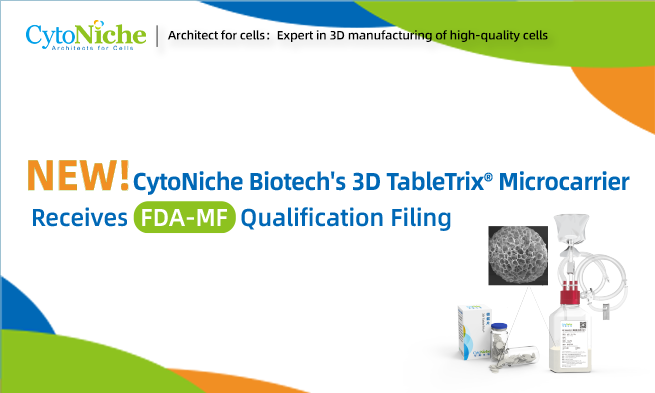 New! CytoNiche Biotech's 3D TableTrix® Microcarrier Receives 【FDA-DMF】 Qualification Filing