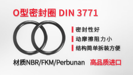 产品推荐O型密封圈DIN 3771