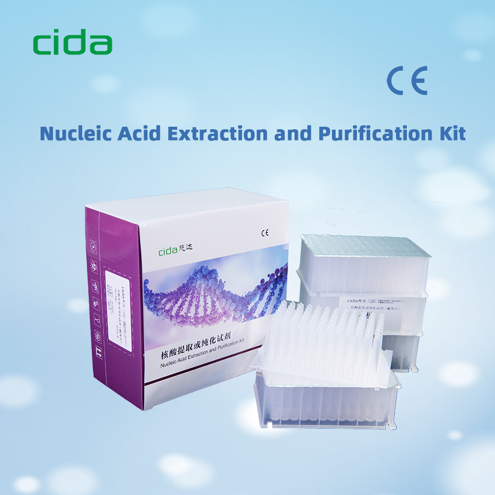 Nucleic Acid Extraction and Purification Kit
