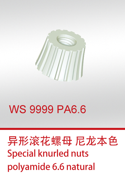 WS 9999 PA6.6--