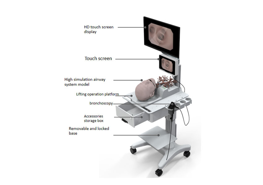 Integrated training simulator for bronchoscopic surgery 
