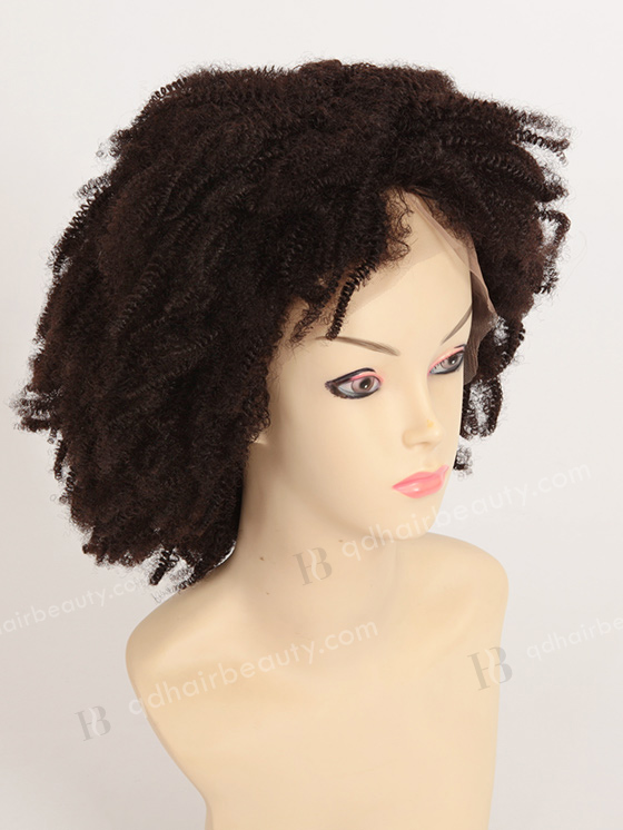 100 Human Hair African American Afro Wigs WR-LW-058