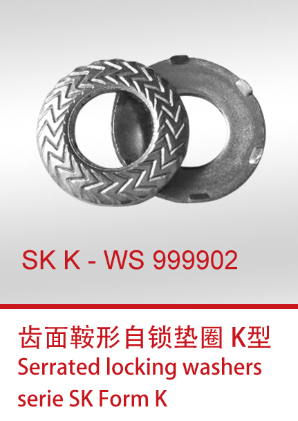SKK-WS999902+