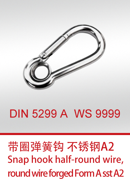 DIN 5299 A  WS 9999