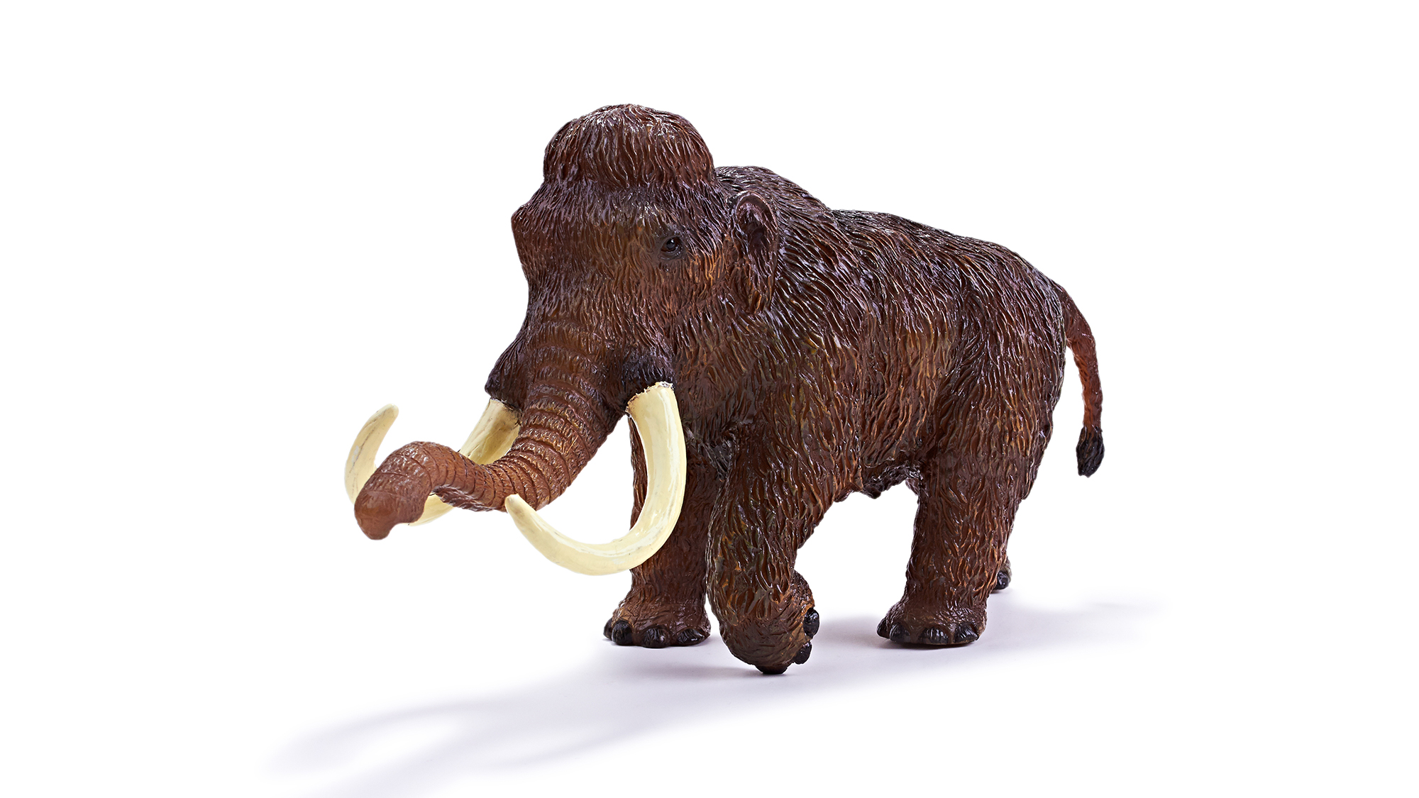 Mammuthus primigenius toy model - Prehistoric animal toy