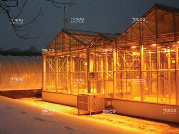 オランダのフェンローライトデップ温室