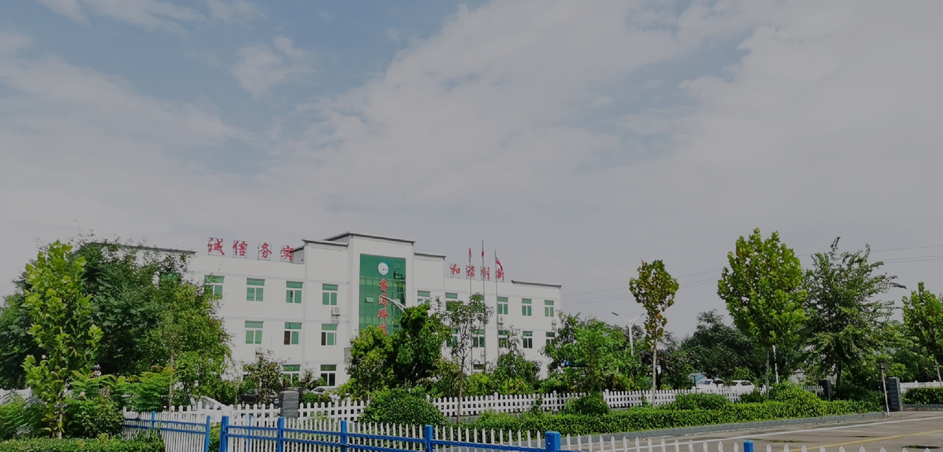 Shandong Luyuan Chemical Technology Co., Ltd.