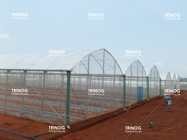 Centro agrícola de genética de cultivos de Myanmar