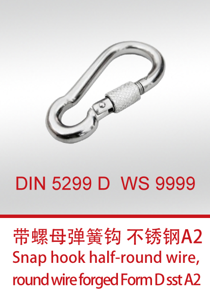 DIN 5299 D  WS 9999