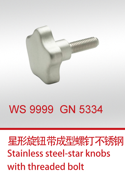 WS 9999  GN 5334 带成型螺钉