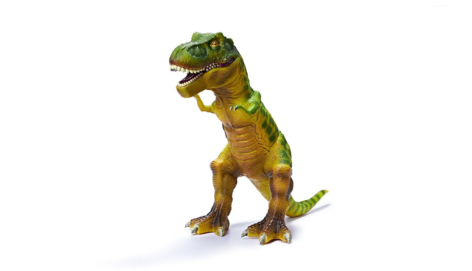 Tyrannosaurs Rex Toy-Dinosaur model｜Gift for children