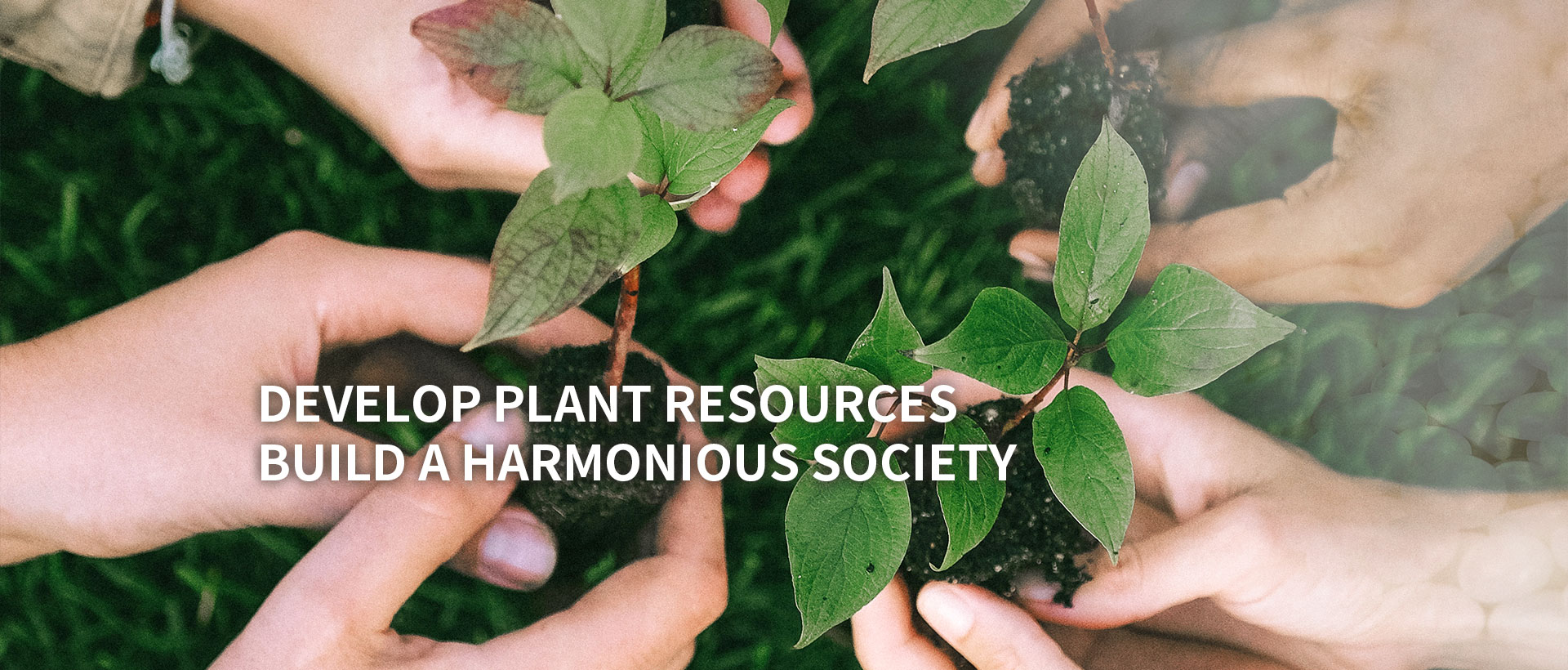 Develop plant resources, build a harmonious society 