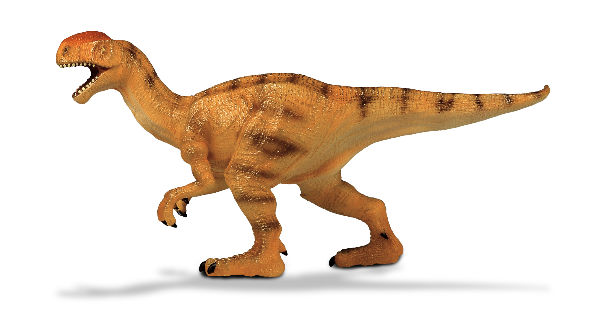 Dinosaur Model Toy - Monolophosaurus Toy｜Jurassic world dinosaur toy