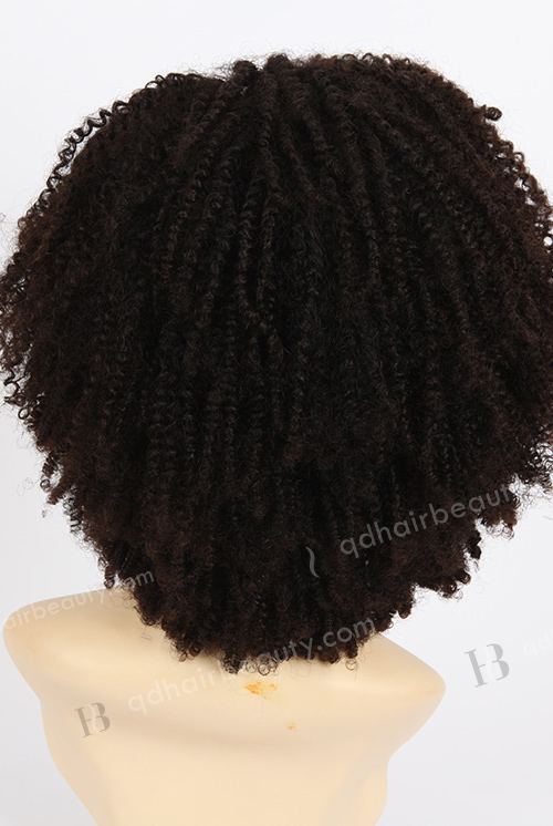 Afro Curl African American Wigs WR-GL-029