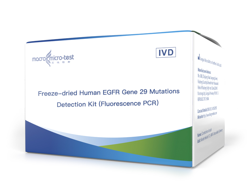 Freeze-dried Human EGFR Gene 29 Mutations Detection Kit (Fluorescence PCR）
