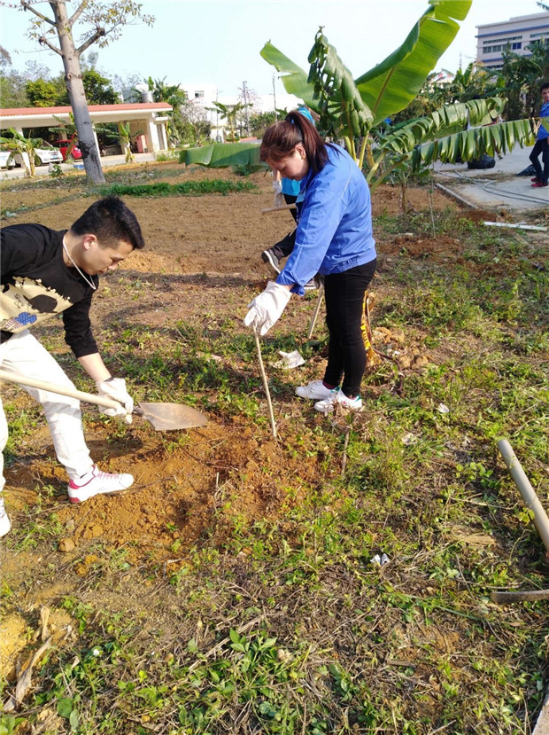 312 Tree planting activity ended successfully