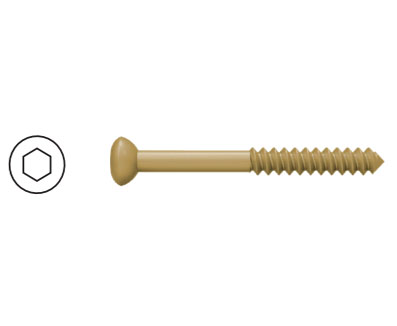 4.0mm Diameter Cancellous Bone Screw (Half Tooth)