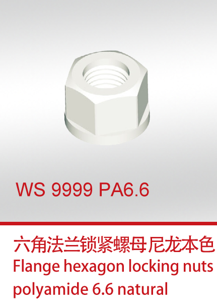 WS 9999 PA6.6 flange