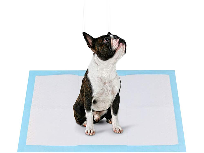 Disposable Urine Pad for Dogs: A Convenient Solution for Pet Owners