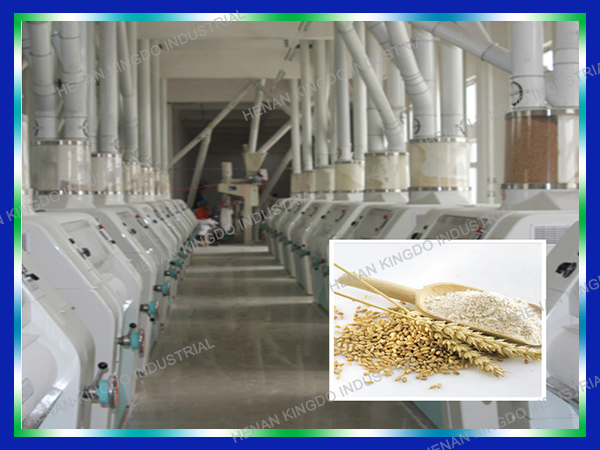 Modern Advanced Wheat Flour Milling Plant Turnkey Project
