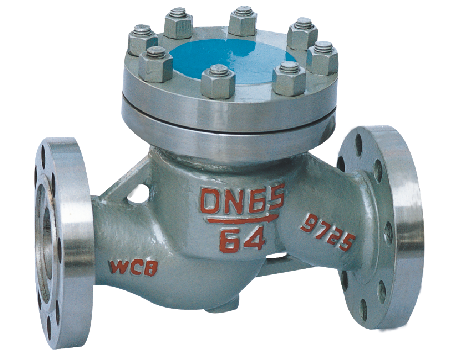 Lift check valve H41H (Y) - 16~25C/P/R/I