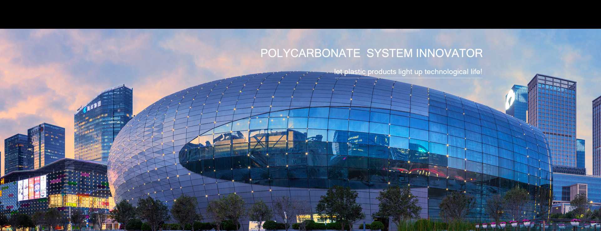 Polycarbonate 