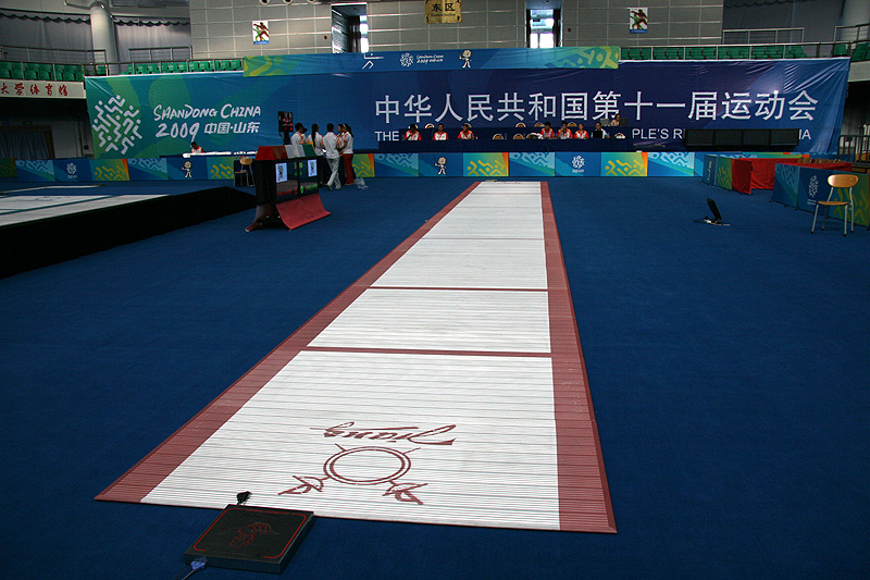 2009年中华人民共和国第十一届运动会