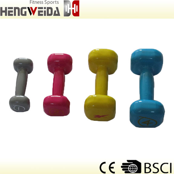 HWD2306A-Dipping Dumbbell