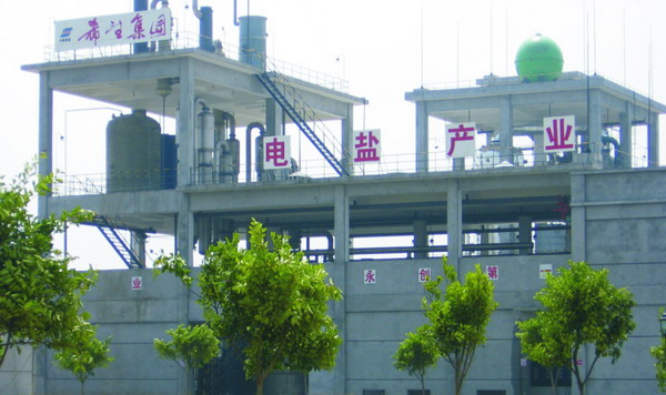 四川希望电盐产业有限公司建成投产，“能源-化工”产业链正式形成。