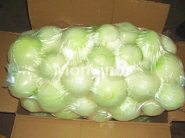 Nitrogen-filled onion