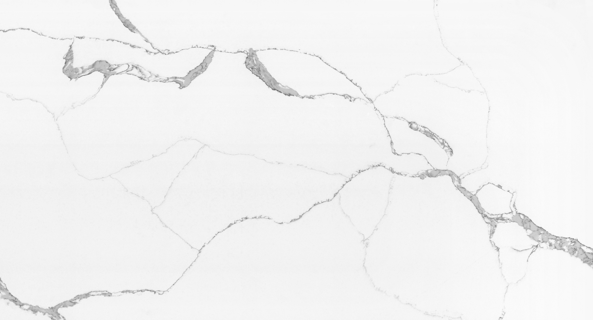 WG485 阿拉斯加白 封面图