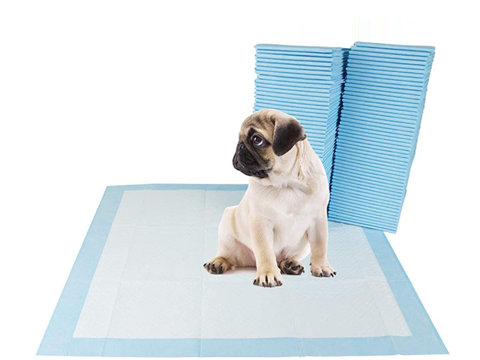 The Rise of Disposable Pet Training Pads for Pet Owners