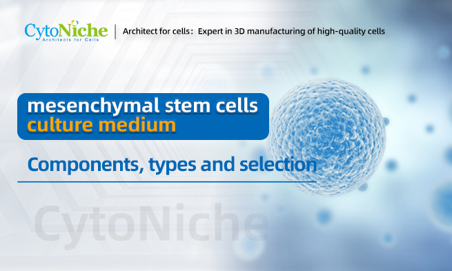 Components, types and selection of mesenchymal stem cells [culture medium]