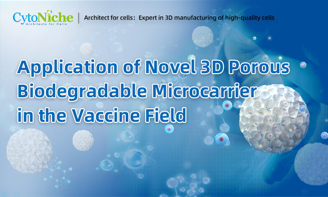 Application of Novel 3D Porous Biodegradable Microcarrier in the Vaccine Field